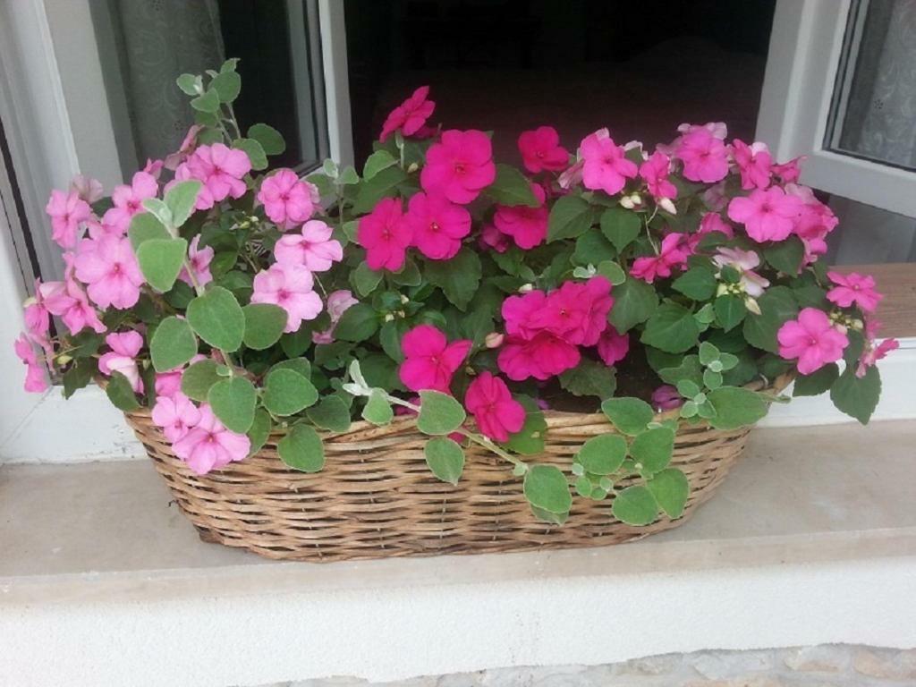 Rosa Apartman Crikvenica Exterior foto